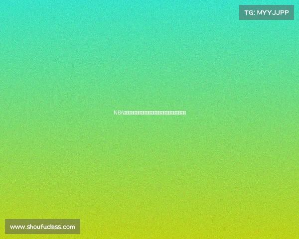 NBA犯规统计分析：球员个人犯规数据及其对比赛结果的影响